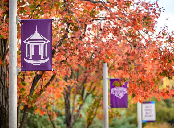 flags and fall colors