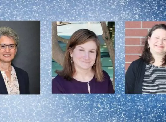 irma teacher of the year finalists